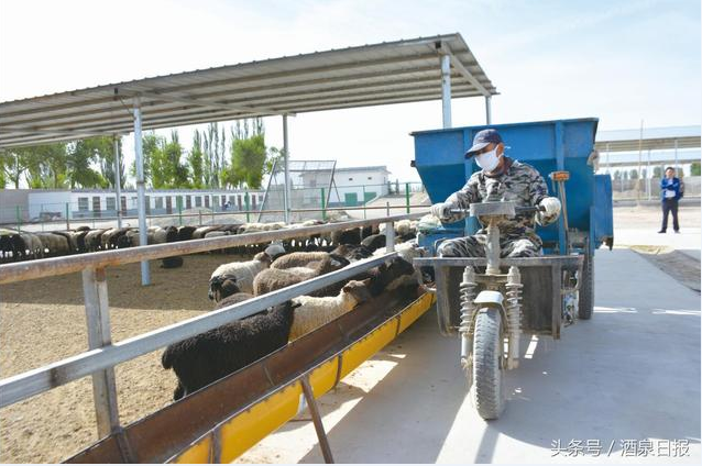 QQ图片20180621161447.png QQ图片20180621161447.png